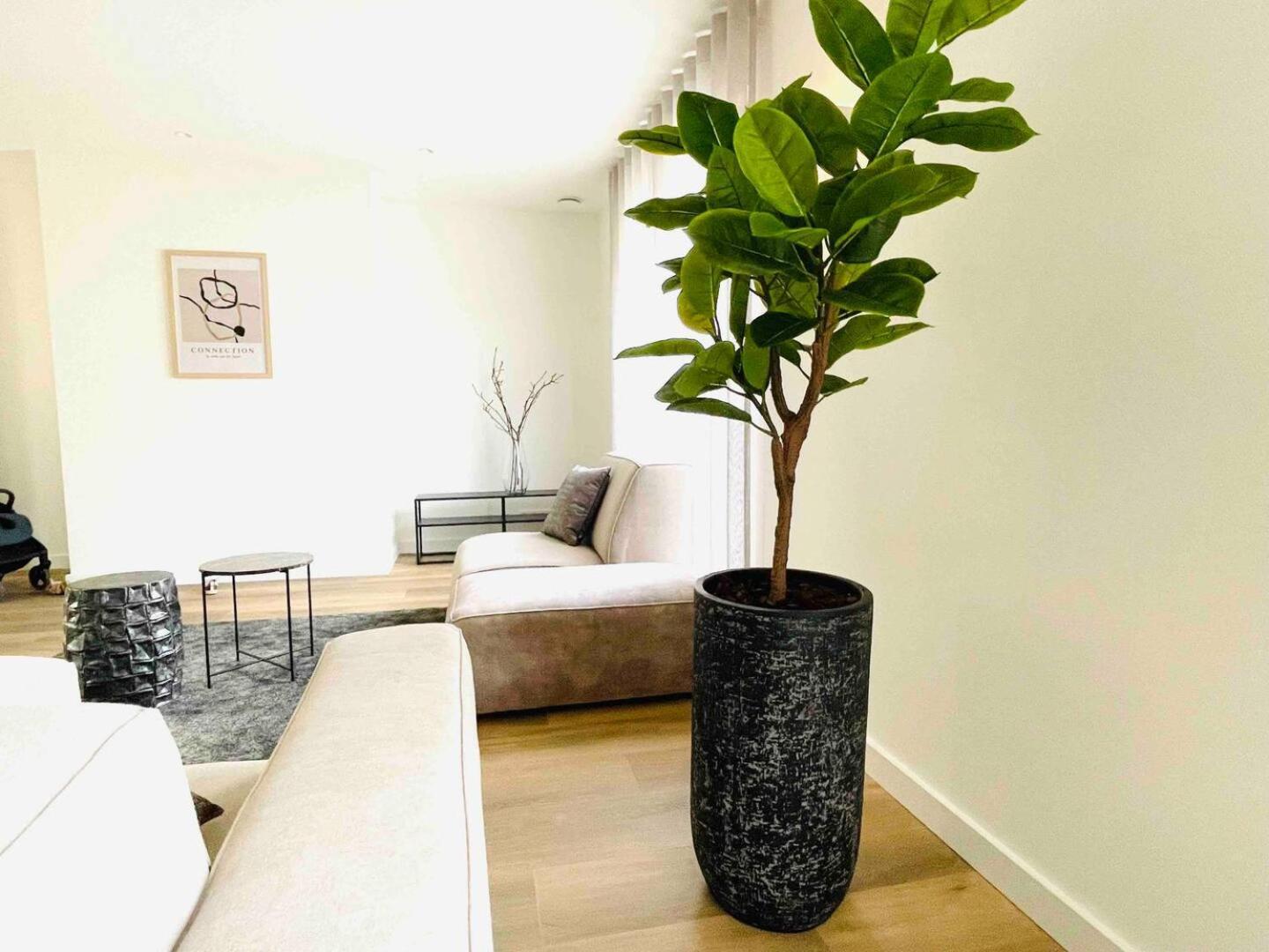 New Apartment In City Centre Large 오쇼트 외부 사진